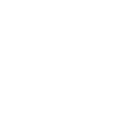 TMII